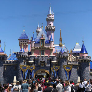 DisneyLand-Car-Service
